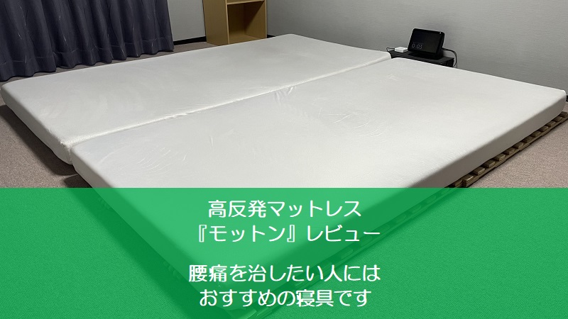 モットン シングル１４０Ｎ 腰痛対策マットレス 疲れが取れにくい方に